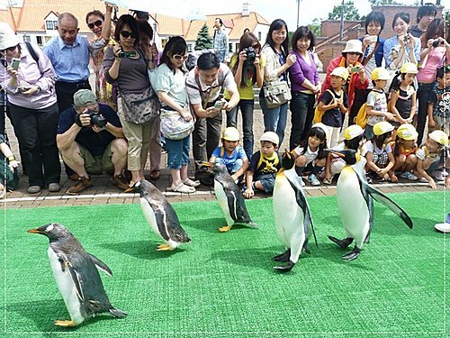 2011北海道之旅~登別海洋公園尼克斯(3) 24