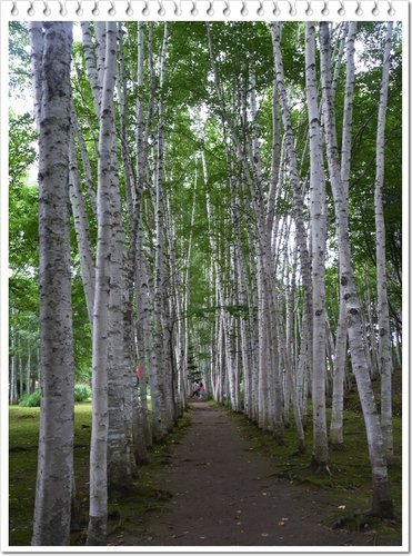 2011北海道之旅~拓真館04