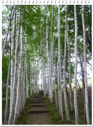 2011北海道之旅~拓真館06