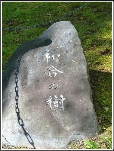 2011北海道之旅~滝之上自然公園風景篇 25