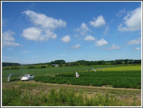 2011北海道之旅~三井OUTLET購物廣場01