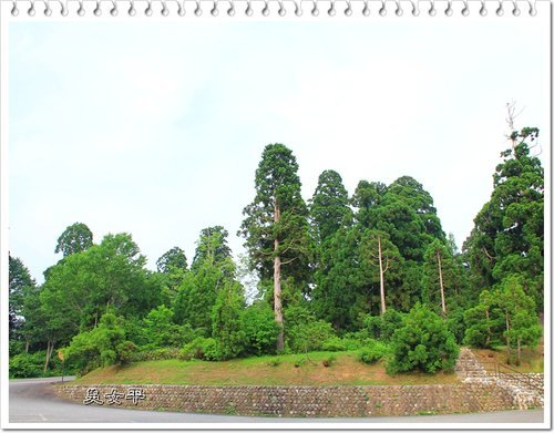 2012日本北陸之旅~室堂→美女平的風景40