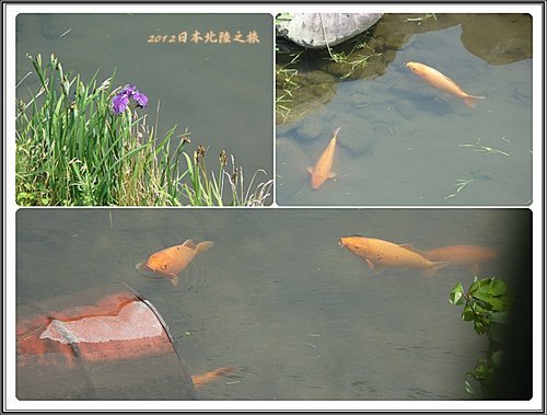 2012日本北陸之旅~蒲葉燒風味定食%26;旅途隨拍11