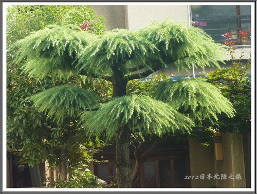 2012日本北陸之旅~蒲葉燒風味定食%26;旅途隨拍29