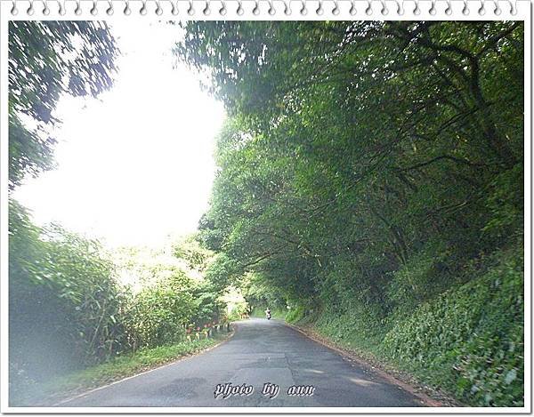 大屯山主峰賞景、生態之旅03