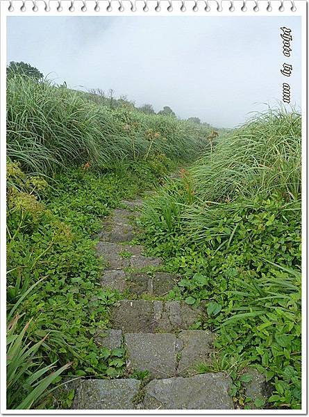 大屯山主峰賞景、生態之旅10