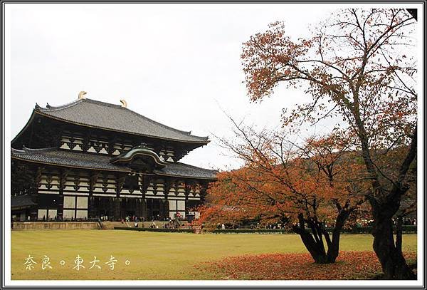 2013日本賞楓之旅D1043