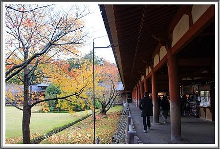 2013日本賞楓之旅D1057