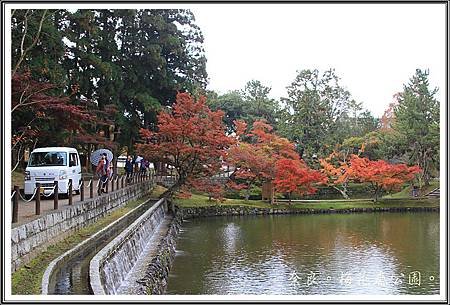 2013日本賞楓之旅D1058