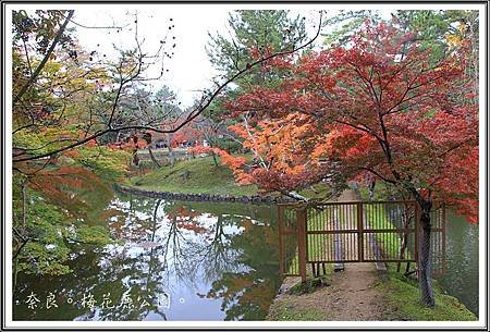 I2013日本賞楓之旅D1063
