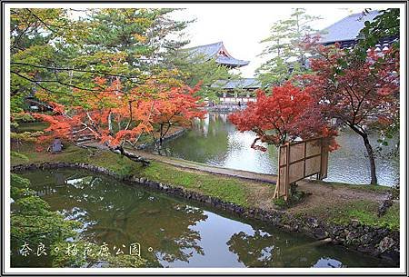 2013日本賞楓之旅D1065