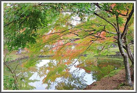 2013日本賞楓之旅D1067