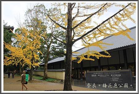 2013日本賞楓之旅D1078