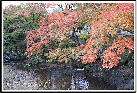 2013日本賞楓之旅D1093