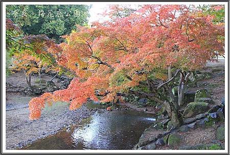 2013日本賞楓之旅D1096