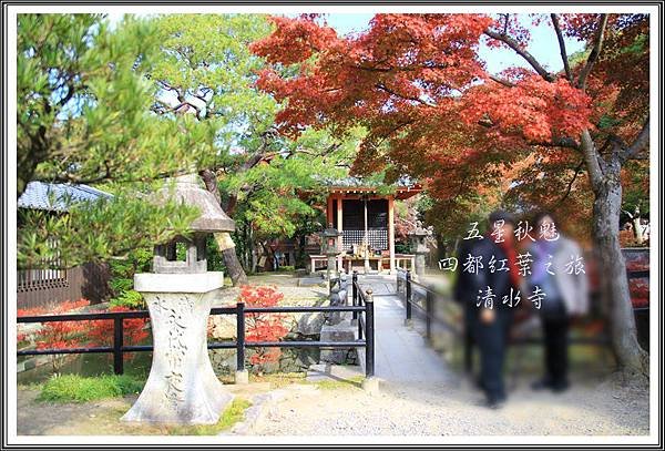 2013日本賞楓之旅D2076