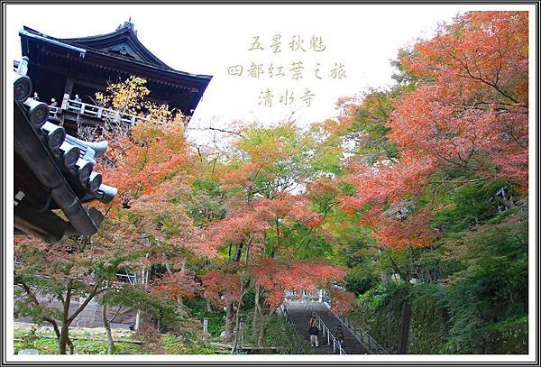 2013日本賞楓之旅D2109