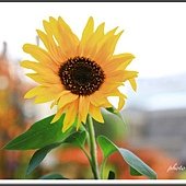 IMG_8771