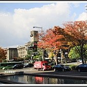 IMG_8787