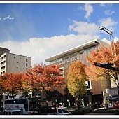 IMG_8793