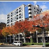 IMG_8791