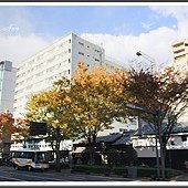IMG_8795