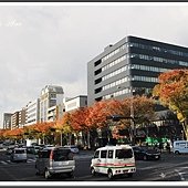 IMG_8798