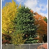 IMG_8805