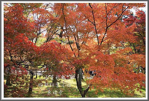 IMG_8853