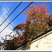 IMG_8935