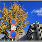 IMG_8946