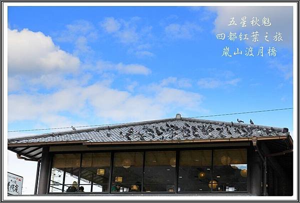 2013日本賞楓之旅D3128