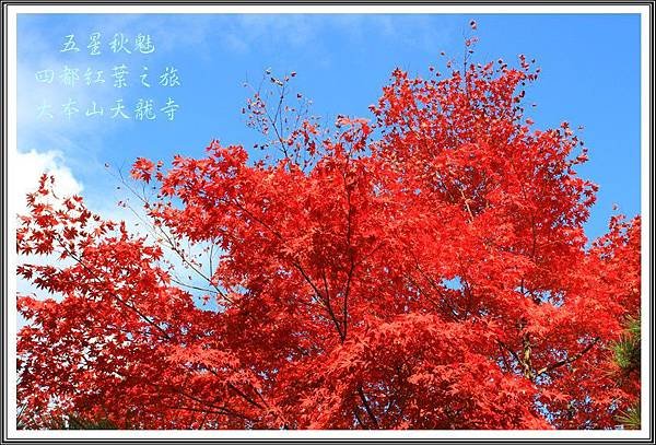 2013日本賞楓之旅D3190