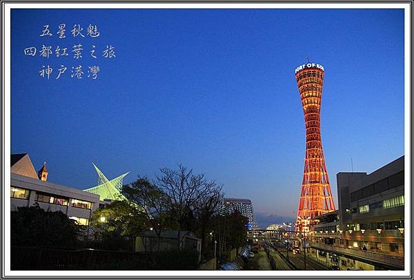 2013日本賞楓之旅D3222