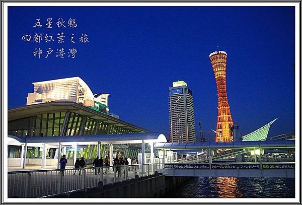 2013日本賞楓之旅D3224