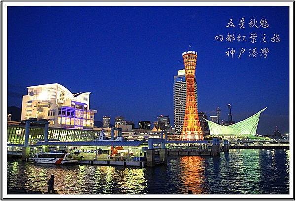 2013日本賞楓之旅D3227
