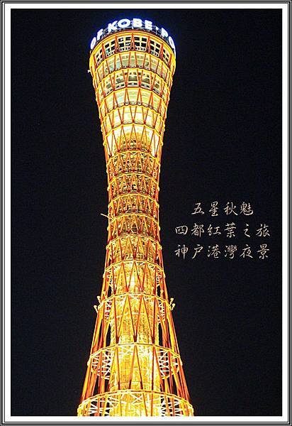 2013日本賞楓之旅D3241