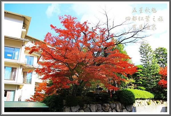 2013日本賞楓之旅D4085