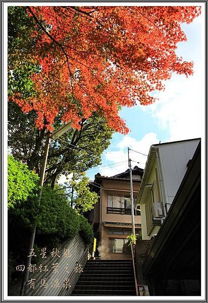 2013日本賞楓之旅D4087