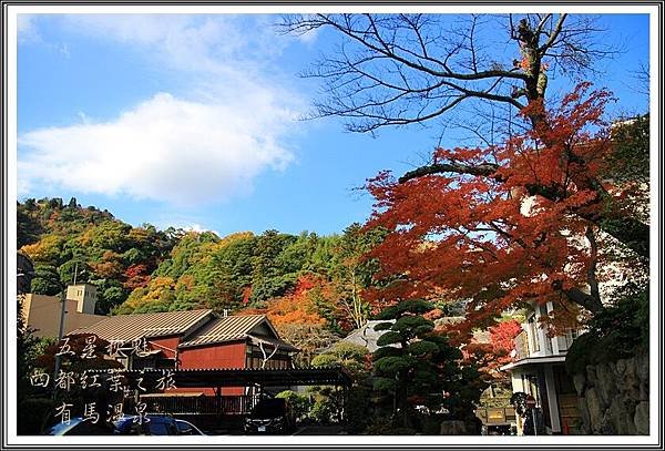 2013日本賞楓之旅D4088