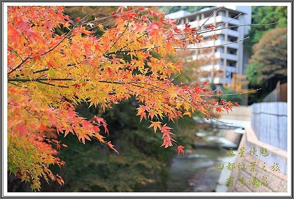 2013日本賞楓之旅D4093