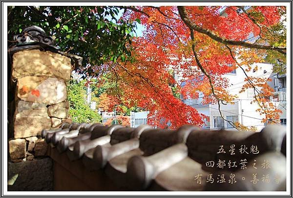 2013日本賞楓之旅D4099