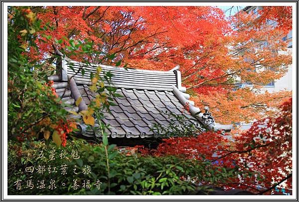 2013日本賞楓之旅D4102