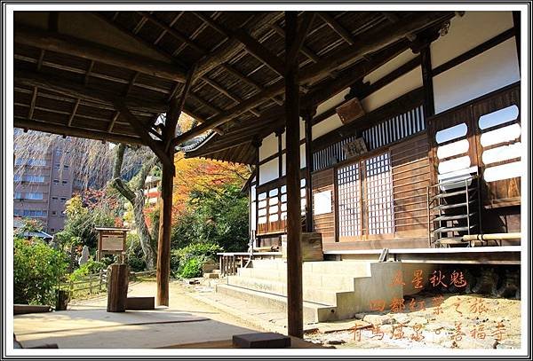 2013日本賞楓之旅D4103