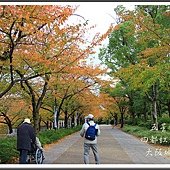 2013日本賞楓之旅D4113