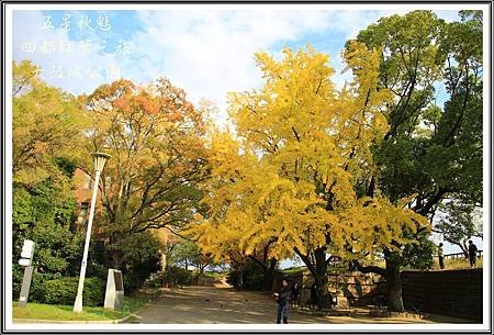 2013日本賞楓之旅D4130