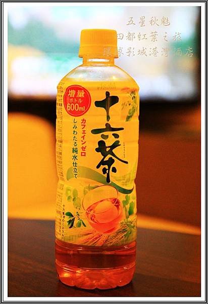 2013日本賞楓之旅D4203