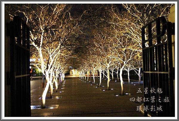 2013日本賞楓之旅D4221