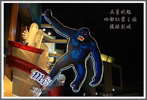 2013日本賞楓之旅D4228