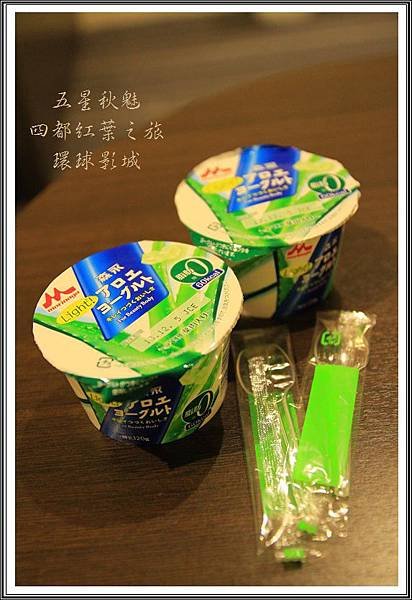 2013日本賞楓之旅D4231